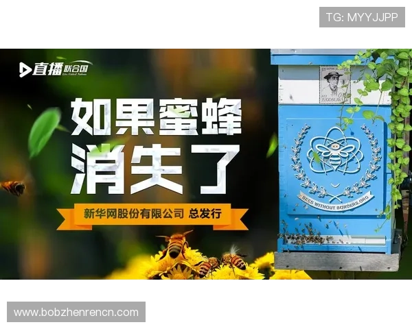 UG环球视讯官网的安全保障体系与隐私保护措施,保障玩家权益的全面解析